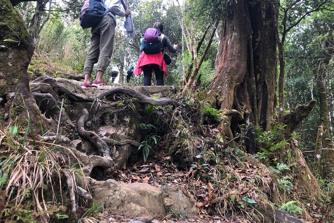 Hiking Fansipan in 1 day - Small-group logistics that actually help on steep days