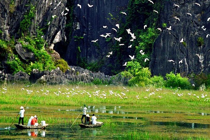 Hoa Lu and Tam Coc - Ninh Binh Day Tour - A small-group day out of Hanoi to Hoa Lu and Tam Coc