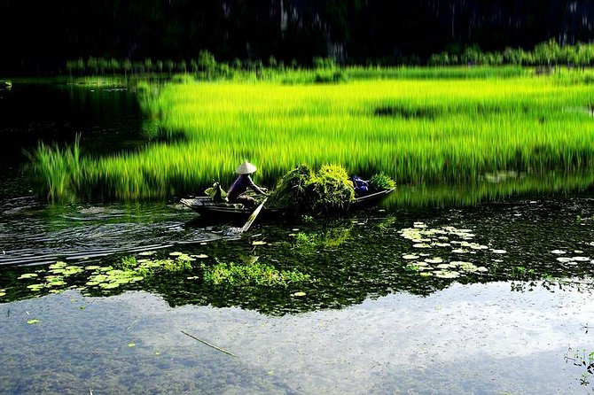 Hoa Lu and Tam Coc - Ninh Binh Day Tour - Pickup, timing, and what 7 hours really feels like