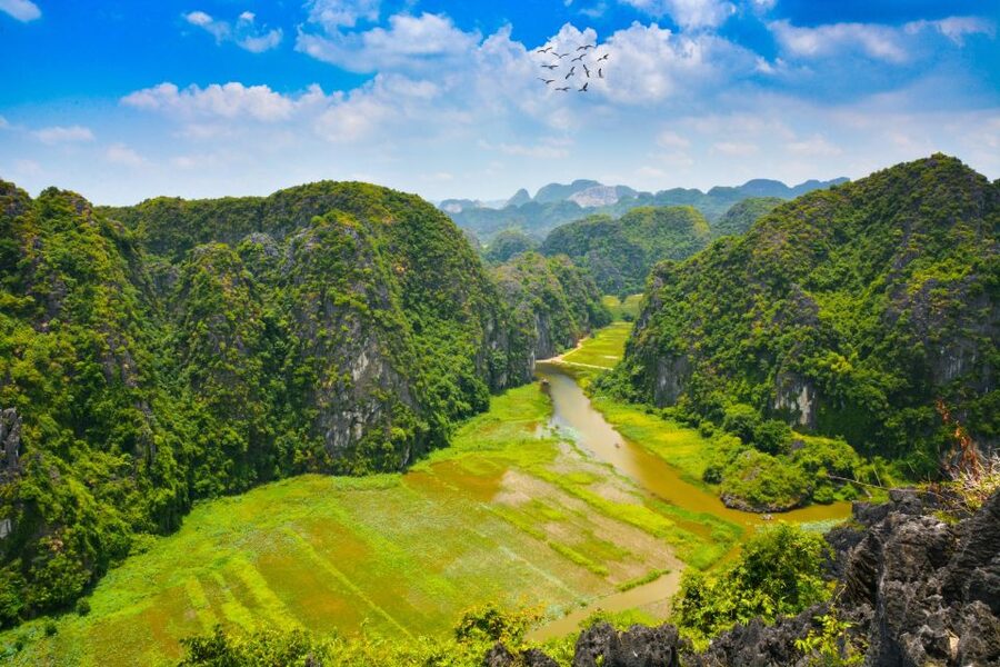 Hoa Lu-Mua Cave-Tam Coc-Bich Dong-Thung Nham National Park - Cycling through rice fields and villages: the best kind of breathing space