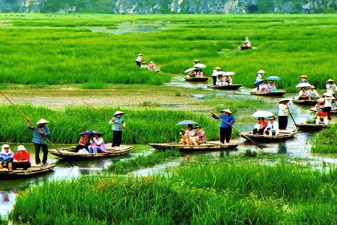Hoa Lu Tam Coc Day Tours - Key Things to Know Before You Go