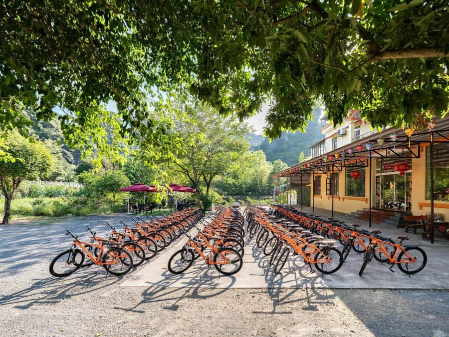 Hoa Lu - Tam Coc - Mua Cave / Limousine Transfer - Key takeaways before you go