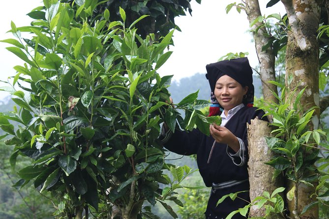Immerse yourself in the authentic live of Dao Tien people 2D1N - Day 1 in Sung village: lunch, a 3 km village walk, and the Sung cave stop