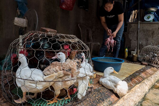 Into the Thieves Market Hanoi Photo Tour - 8:30 pickup and how the tour flow helps you shoot instead of fumble