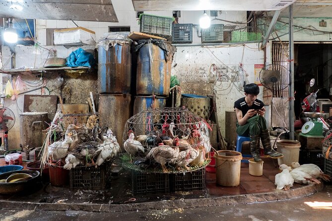 Into the Thieves Market Hanoi Photo Tour - Price and value: is $144 for 4 hours worth it?