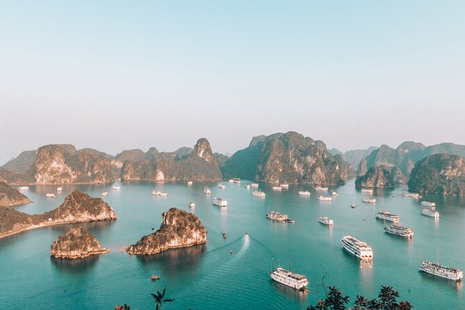 LIKE A BOSS-Luxury options-2d/1n All inclusive in Halong Bay - Day 1 on Halong Bay: lunch cruise, Luon Cave, and Titop Island