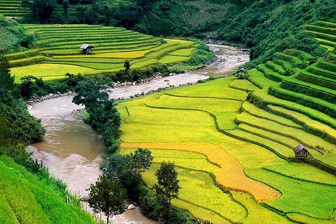 Local Experience in Sapa trekking tours - Price and value: what $55 includes (and what costs extra)