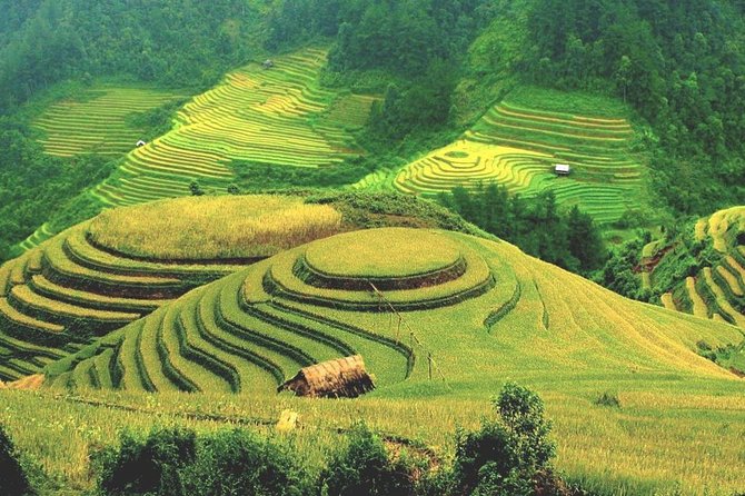 Luxury Ha Giang 3 days from Hanoi - A night limousine from Hanoi: sleep strategy vs sightseeing time