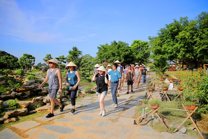 Luxury Hoa Lu Tam Coc Mua Cave 1 Day With Limousine Bus And Lunch - Tam Coc sampan boat: three caves on the Ngo Dong River