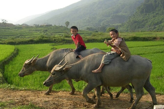 Luxury Mai Chau Day Tour from Hanoi - Cycling the Mai Chau villages and rice fields on a sports bike
