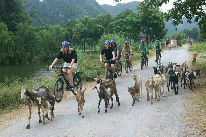 Luxury small Group Hoa Lu - Tam Coc - Mua Cave Max 6 - 8 pax/tour - Cycling rural communities: the active part that pays off
