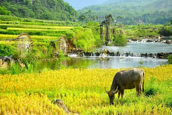 Mai Chau 1 Day Tour From Hanoi - Who This Tour Fits Best (and Who Should Think Twice)