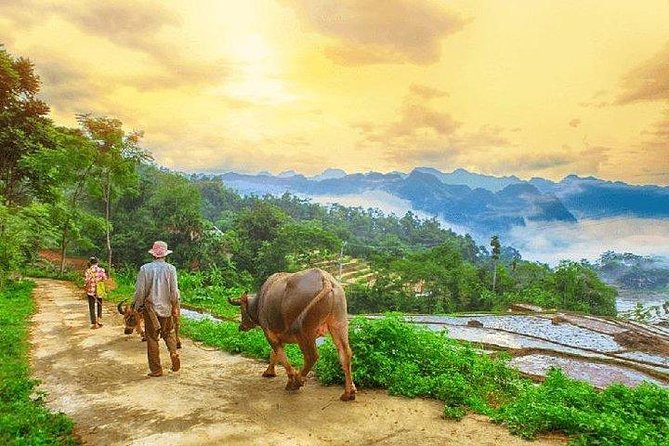 MAI CHAU 1 DAY TOUR | HIDDEN CHARM | SHARED or PRIVATE OPTIONS - Thung Khe Pass: 15 Minutes of Mountain Views and a Muong Market Stop