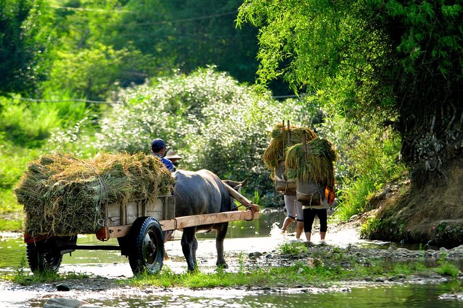 Mai Chau Private Day Tour: Hiking & Biking in Pristine Landscapes - Getting from Hanoi to Mai Chau: the long scenic drive that matters