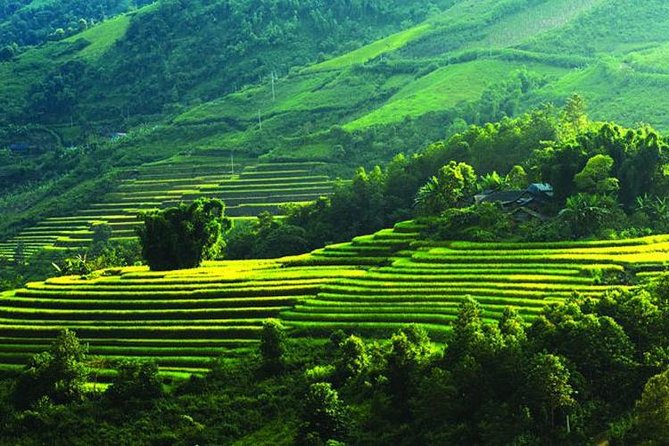 Mai Chau Private Day Tour: Hiking & Biking in Pristine Landscapes - Lac Village and Pom Coong by bike: farms, weaving, and a living museum feel