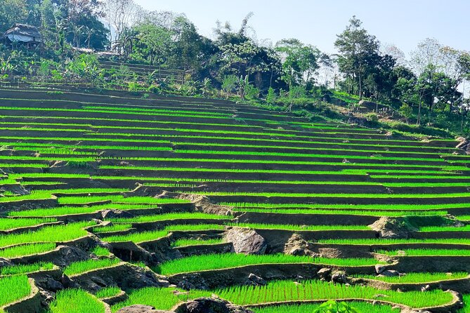 Mai Chau - Pu Luong 2 days - Price and value for $165.63 per person
