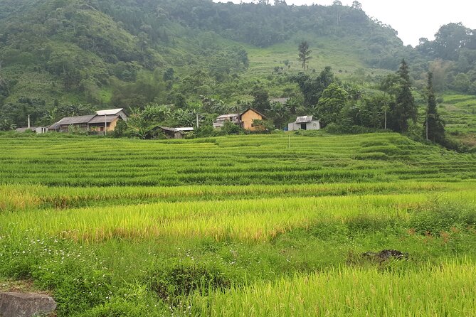 Mai Chau – Pu Luong 2D1N - Mai Chau arrival and village rhythm