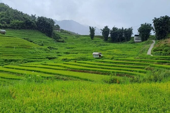Mai Chau – Pu Luong 2D1N - Meals, local guidance, and the names that matter
