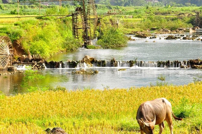 Mai Chau - Pu Luong trekking 3 days 2 nights - Day 2: Sunrise option in kho muong village, then 5–6 hours of climbs and river crossings