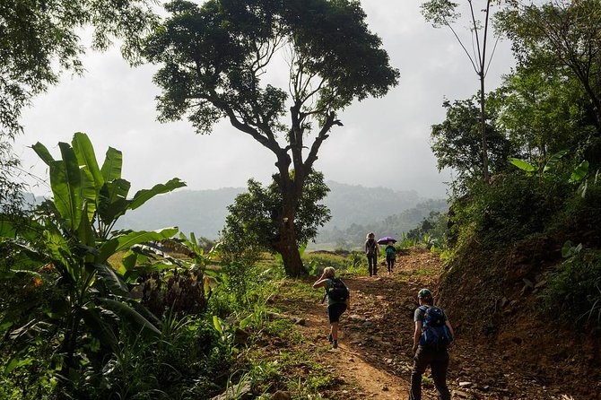 Mai Chau - Pu Luong trekking 3 days 2 nights - Day 3: Mai Chau Ecolodge, Ban Hieu Village, and Pho Doan views before heading back