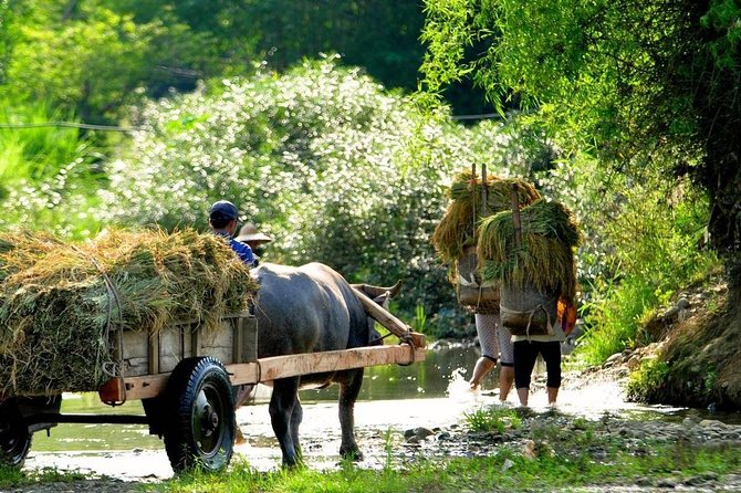 Mai Chau - Pu Luong trekking 3 days 2 nights - Guides and drivers: the human detail that makes the trek easier