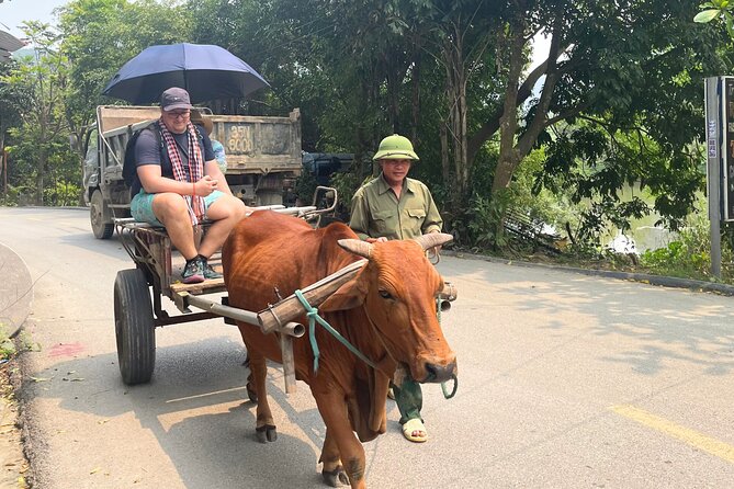 Majestic Ninh Binh Discovery: Mua Cave & Tam Coc private tour - Cycling Through Rice Fields: How the Bike Loop Changes the Feel