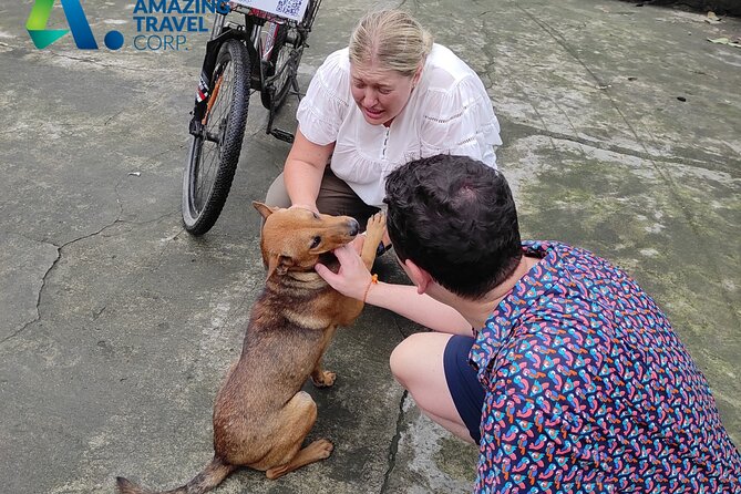 Majestic Ninh Binh Discovery: Mua Cave & Tam Coc private tour - The Value: What $135 Really Buys (And What It Doesn’t)