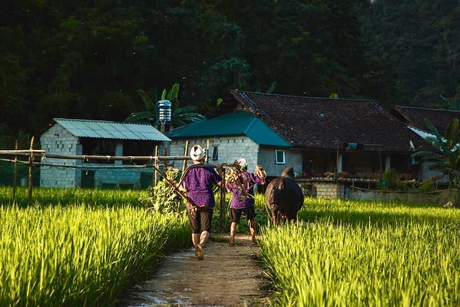 Majesty Of Untouched Northern Vietnam Tour 6 Days - Day 3: Dong Van Market, Coffee, and Ma Pi Leng Pass