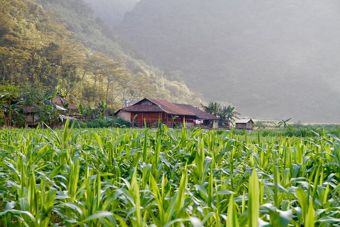 Majesty Of Untouched Northern Vietnam Tour 6 Days - Day 6: Boating Around Ba Be Lake, Cam Village, and Puong Cave