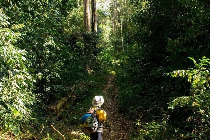 Mount Fansipan 2 Days Trek – Roof of Indochina - Why Fansipan Feels Like the Roof of Indochina