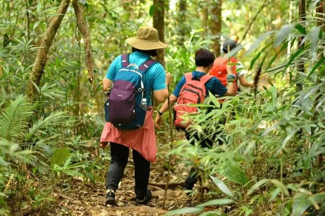 Mount Fansipan 2 Days Trek – Roof of Indochina - Wildlife, Orchids, and What You Can Learn on the Trail