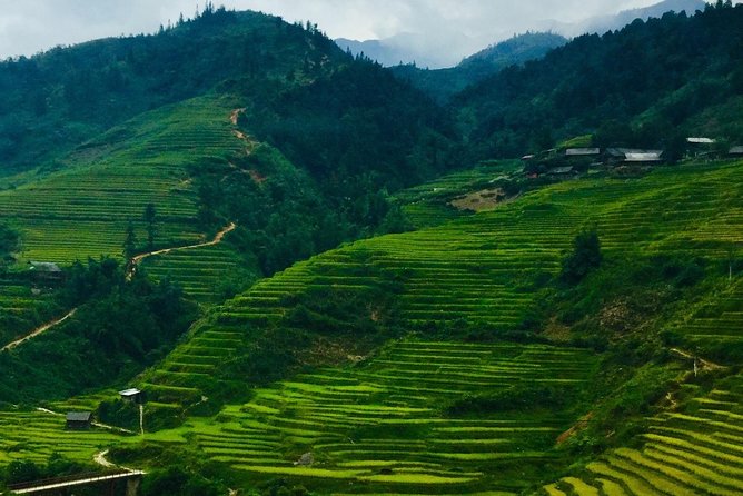 Mount Fansipan Hike 1 Day The Roof Of Indochina - The 24-Kilometer Climb to 3,143 m: What the Trek Really Demands