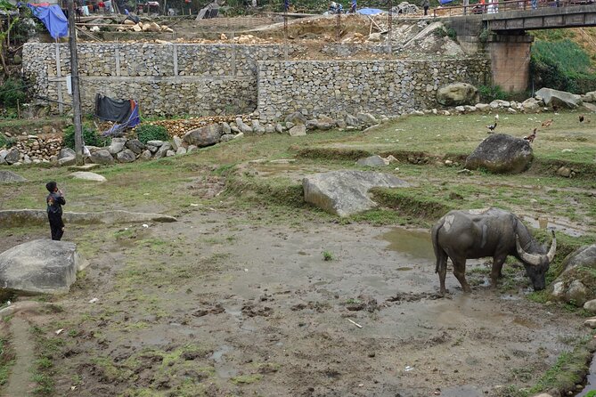 Mountain views and villages trek – 1 Day - Lunch and the water rule: included, but drinks aren’t
