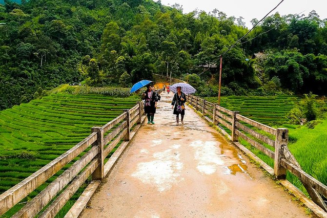 Muong Hoa Valley Trek & Homestay Experience - 4D3N - Price and Value: Is $190 a Fair Deal for 4D3N?