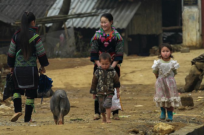Muong Hoa Valley Trek & Homestay Experience - 4D3N - Ban Ho Village, Nam Tùng, and How Daily Life Becomes the Point
