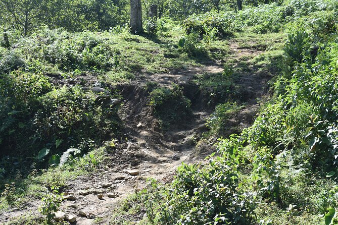Muong Hoa Valley View & Village Trek in Sapa 1 Day - Stop 3: Hang Da Village and the cloud-hunting feeling