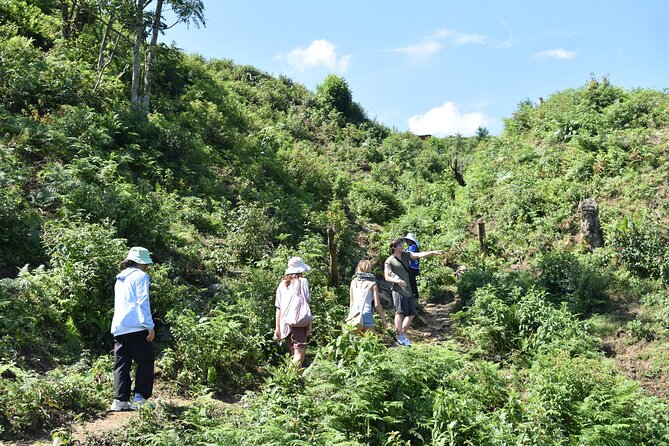 Muong Hoa Valley View & Village Trek in Sapa 1 Day - Stop 4: Muong Hoa Valley—cliffside road, forests, and wildflowers