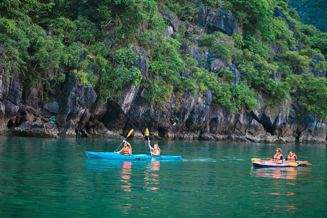 New Cruise Ha Long - CATAMARAN PREMIUM - Boarding day rhythm: how the cruise flows after you reach the pier