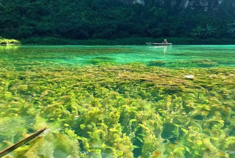 Ninh Binh 1-day tour Bai Dinh Trang An Mua Cave Small Group - Trang An boat cruise through limestone caves: the calm part of the day