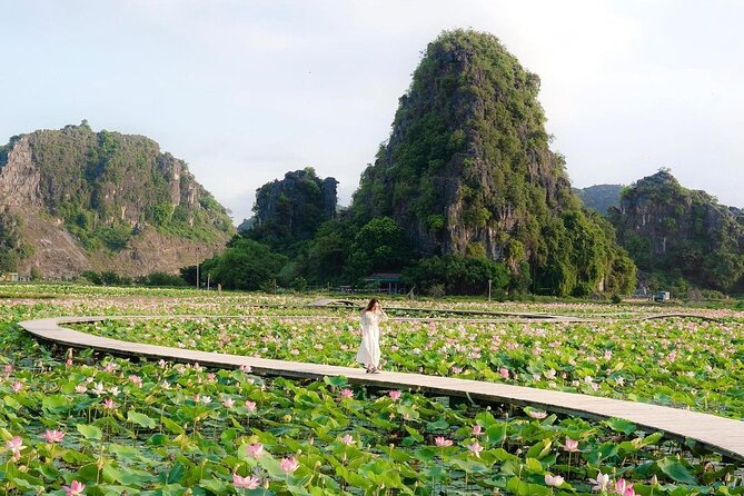 Ninh Binh 1 day trip with Hoa Lu- Tam Coc boat & Cycling village - Hoa Lu Ancient Capital: walking to the Dinh and Le temples