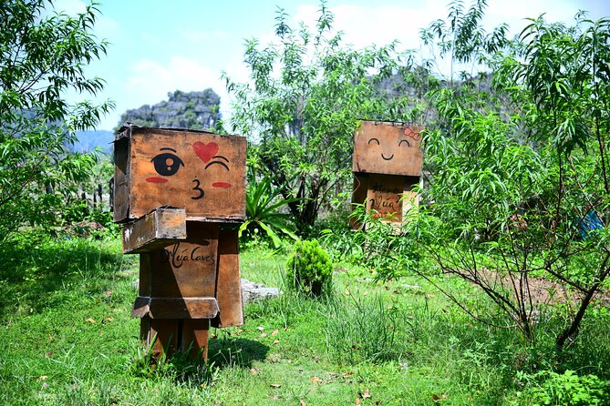 Ninh Binh 2 days 1 night Tour from Hanoi (Small Group of 9) - Tam Coc-Bich Dong by bicycle and a local farmer’s house