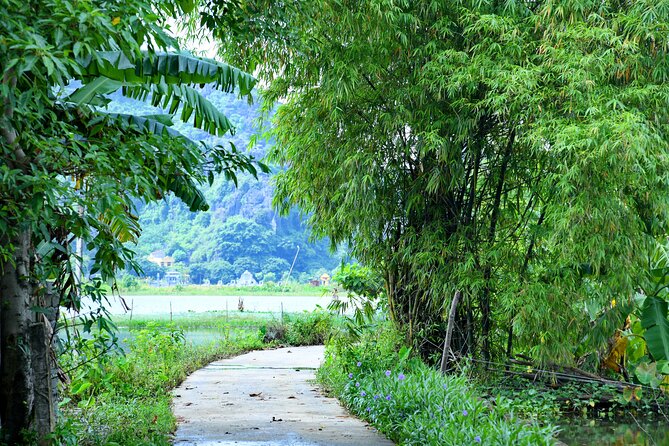 Ninh Binh 2 days 1 night Tour from Hanoi (Small Group of 9) - The Mua Cave hike: big views, moderate effort, go at your pace