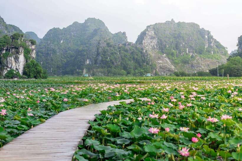 Ninh Binh : Bai Dinh Pagoda, Trang An, and Mua Cave Tour - Time management: what 9 hours really feels like