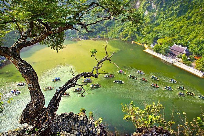 Ninh Binh - Bai Dinh Pagoda - Trang An Landscape Complex - Mua cave 1 Day Tour - Who Should Book This Tour (and Who Might Skip It)