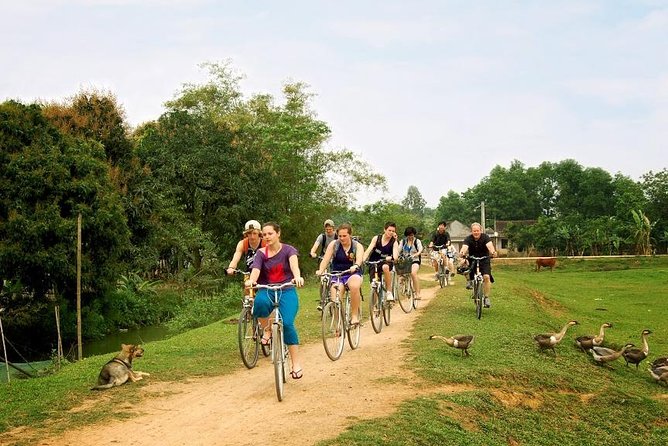Ninh Binh - Bai Dinh - Trang An full day trip from Hanoi with luxury transfers - Why Bai Dinh and Trang An make such a strong day trip