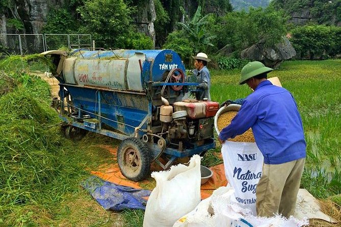 Ninh Binh - Bai Dinh - Trang An full day trip from Hanoi with luxury transfers - Lunch included: a real win on a long day