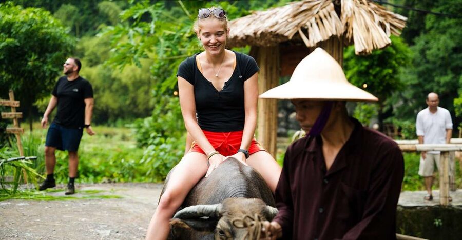 Ninh Binh: Buffalo riding, rice planting group tour - Rice Planting with Farmers: What You Learn in 30 Minutes
