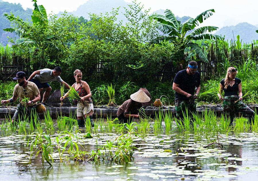 Ninh Binh: Buffalo riding, rice planting group tour - Price and Value: How $42 Makes Sense for a Full Hands-On Morning