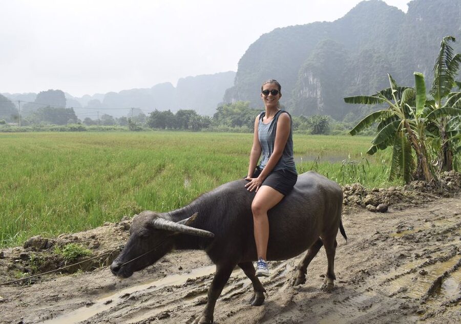 Ninh Binh: Buffalo riding, rice planting group tour - Who This Tour Fits Best (and Who Should Rethink It)