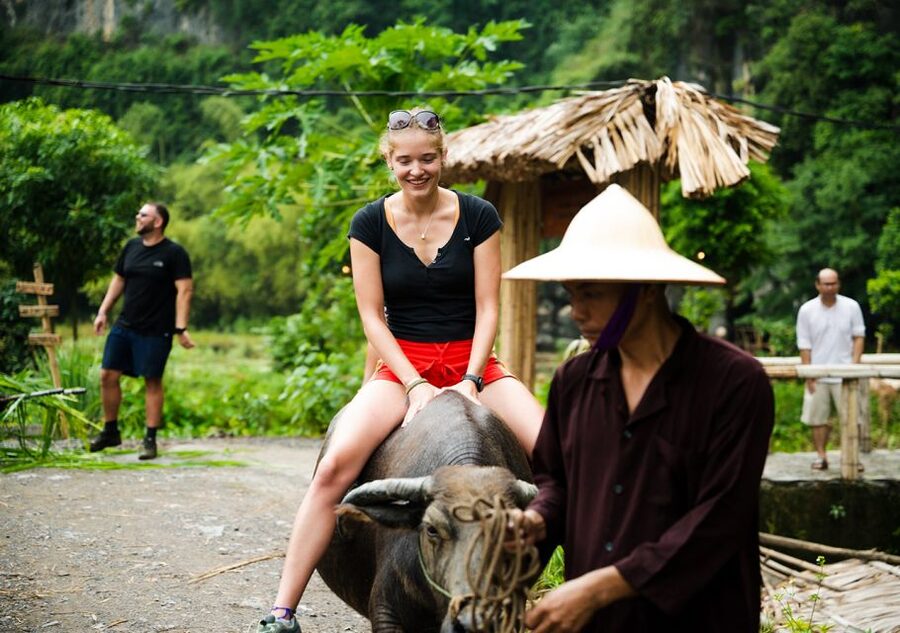 Ninh Binh: Buffalo riding, rice planting group tour - Fishing with Nơm: Hands-On Ninh Binh Work (and Sometimes Lunch)